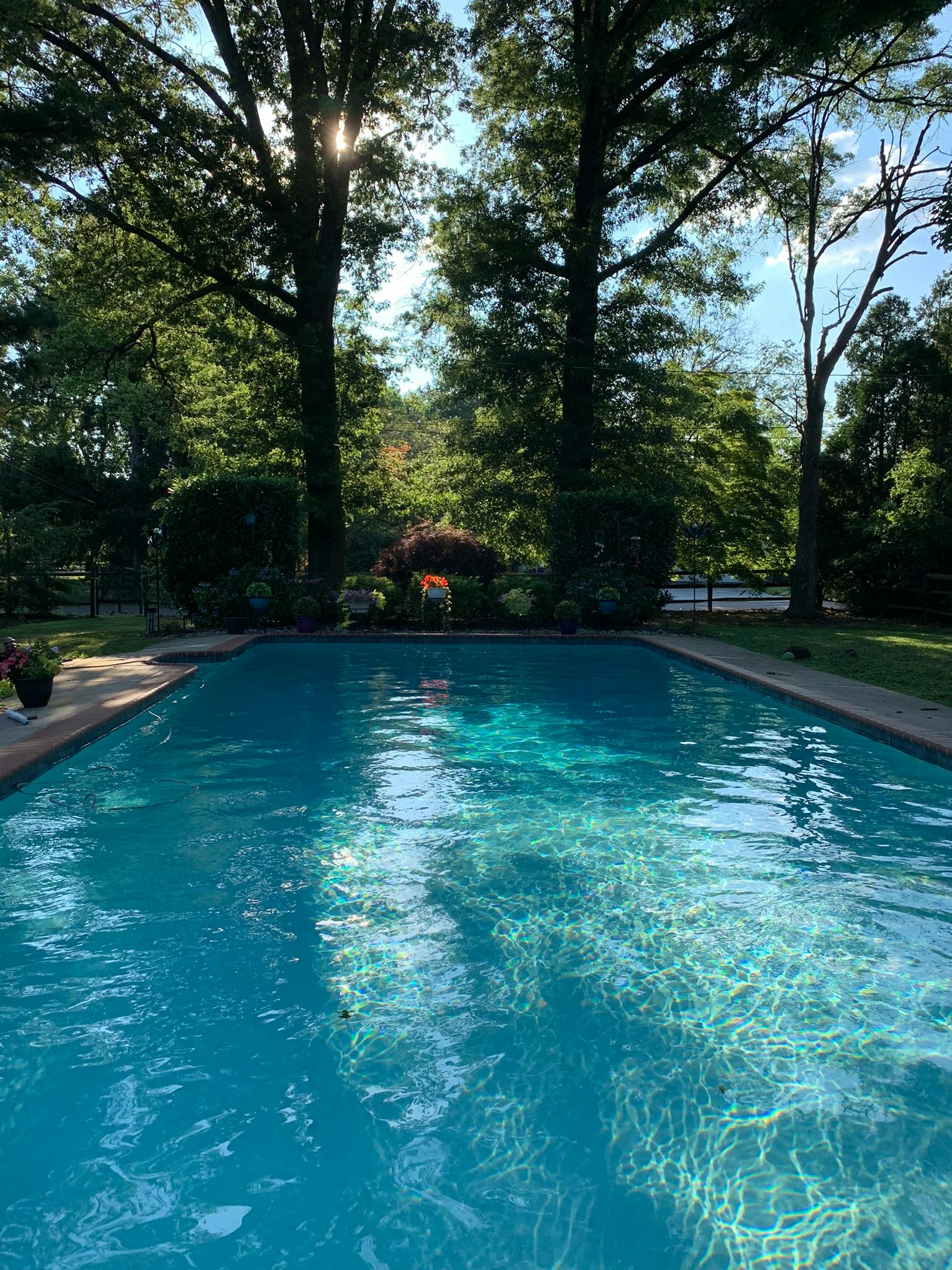 Top 10 Dog Friendly Pools for Rent in Pottstown, PA (2026) - Swimply